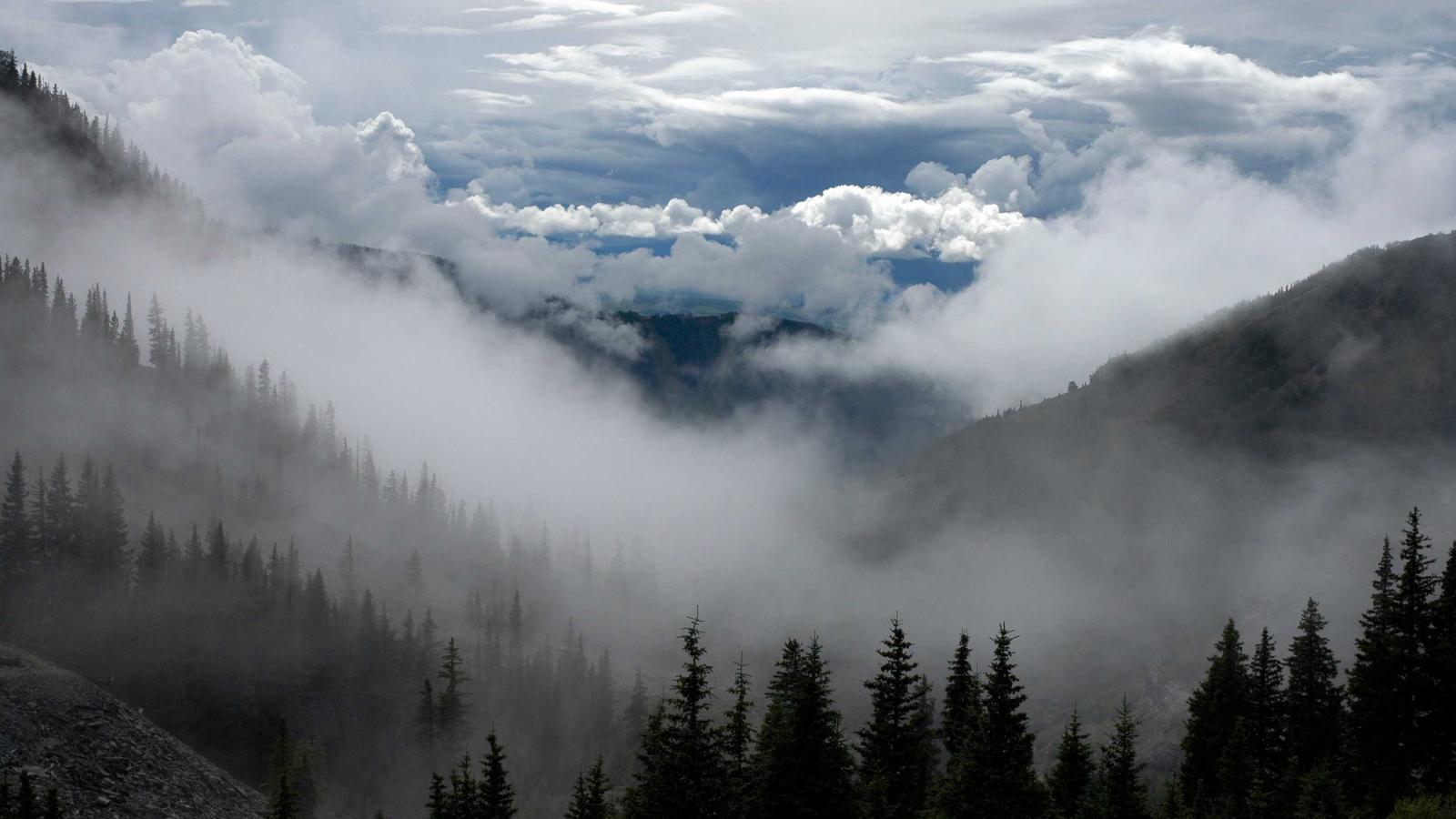 The Let Them Theory by Mel Robbins: Honest Review for Busy Readers