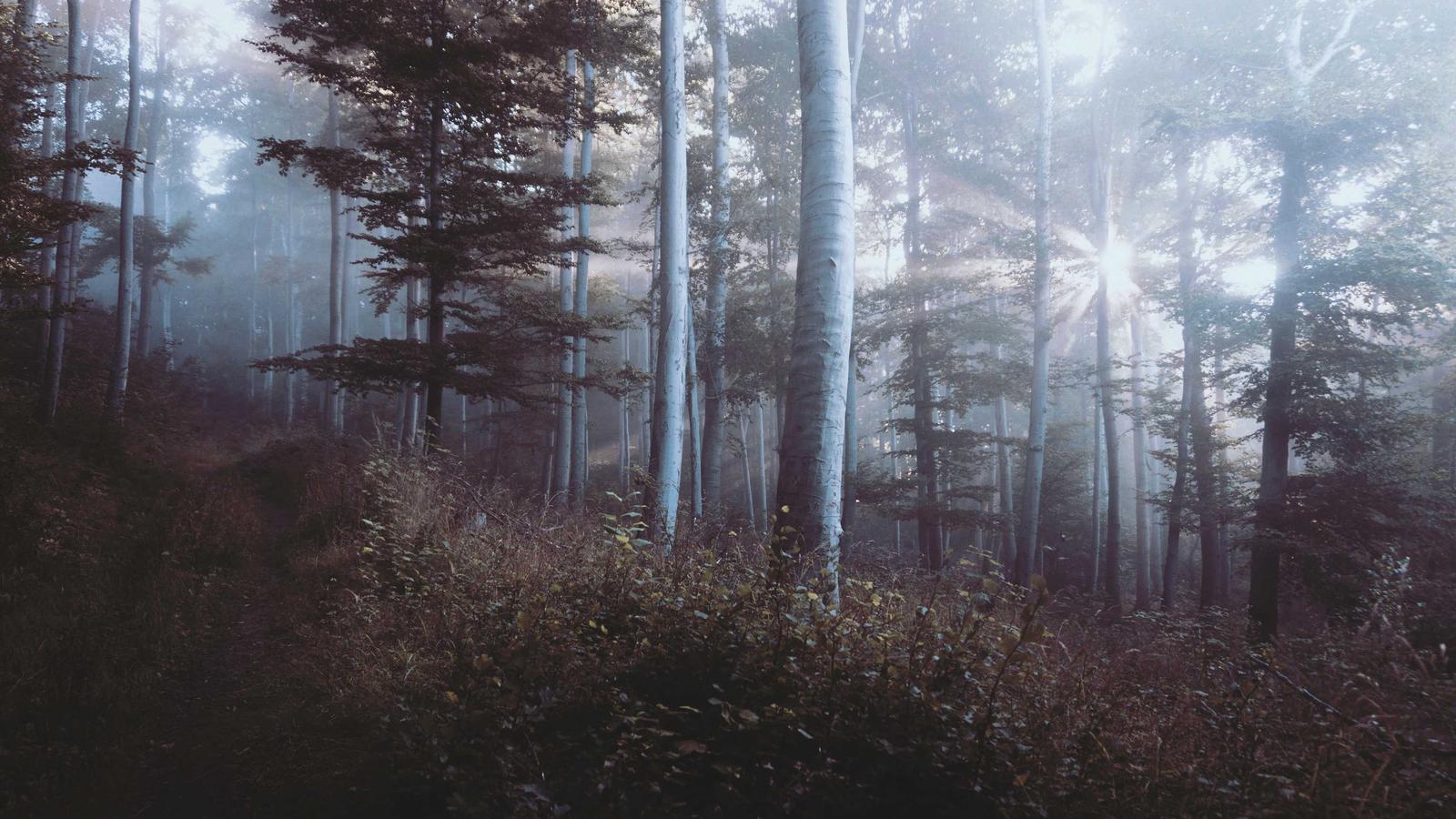 Kindle vs Paperback in 2026: Cost, Comfort, and Focus Compared