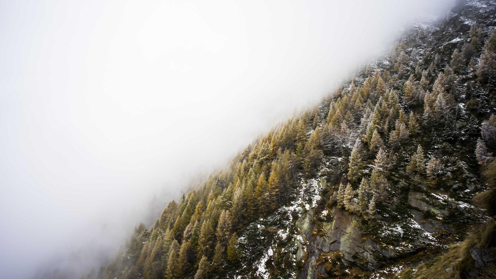 Best Sci-Fi Kindle Books for Beginners (No Overwhelm Starter List)